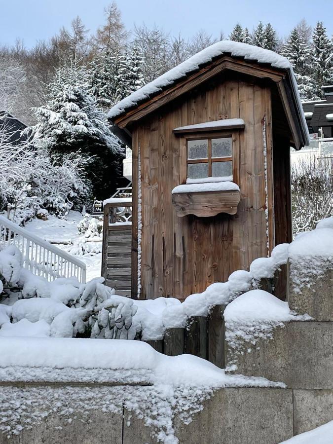 Bergchalet Heidestock Willingen  Exterior foto