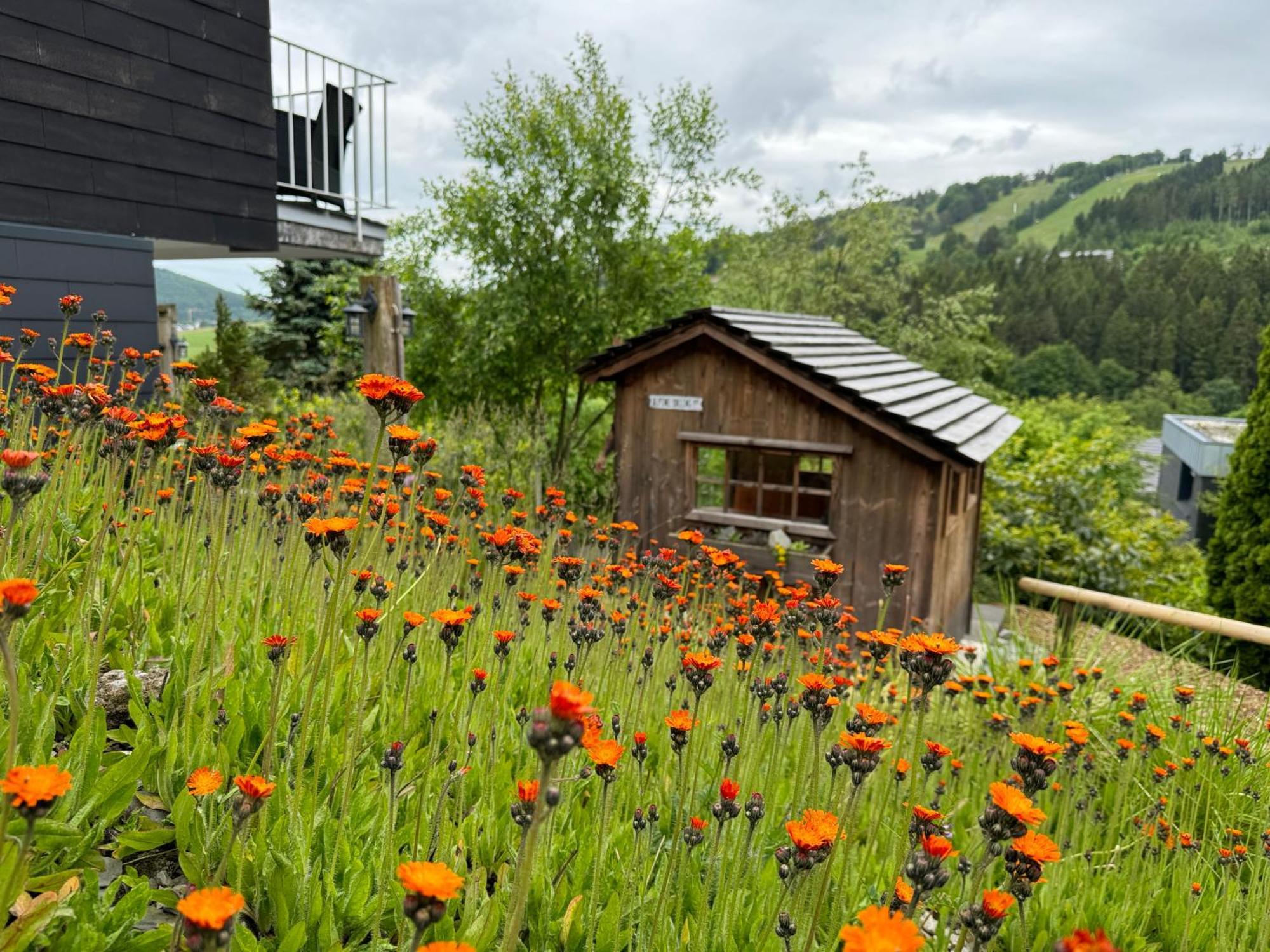 Bergchalet Heidestock Willingen  Exterior foto